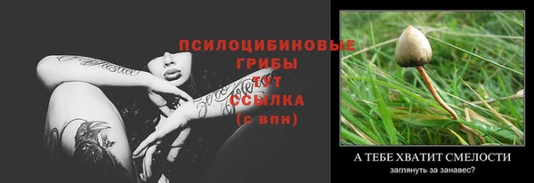 COCAINE Бородино
