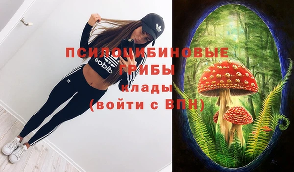 гашик Бугульма