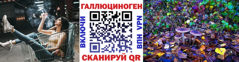 shop наркотические препараты закладки Дальнегорск Галлюциногенные грибы Psilocybe