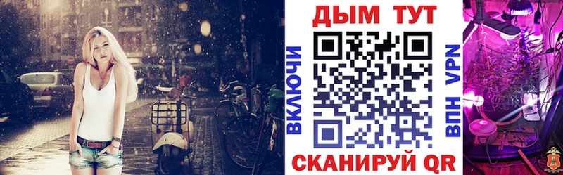 купить наркотики цена  shop как зайти  МАРИХУАНА AK-47  Дальнегорск  mega как войти 
